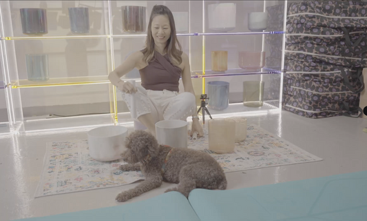 Pets Doggie Sound Bath