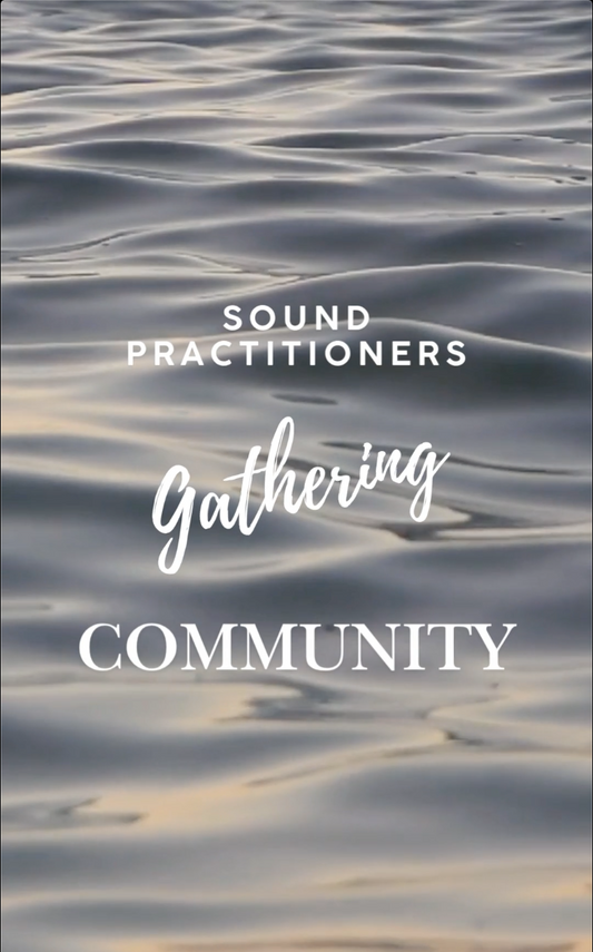 Sound Practitioners Community Gathering