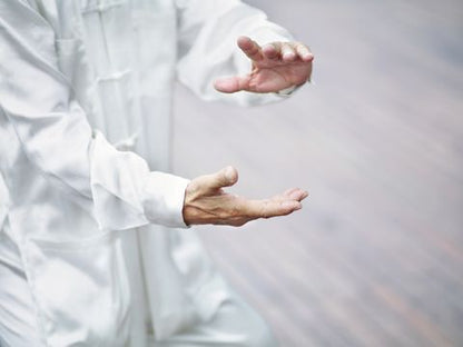 Qi Gong Basic Introduction Class