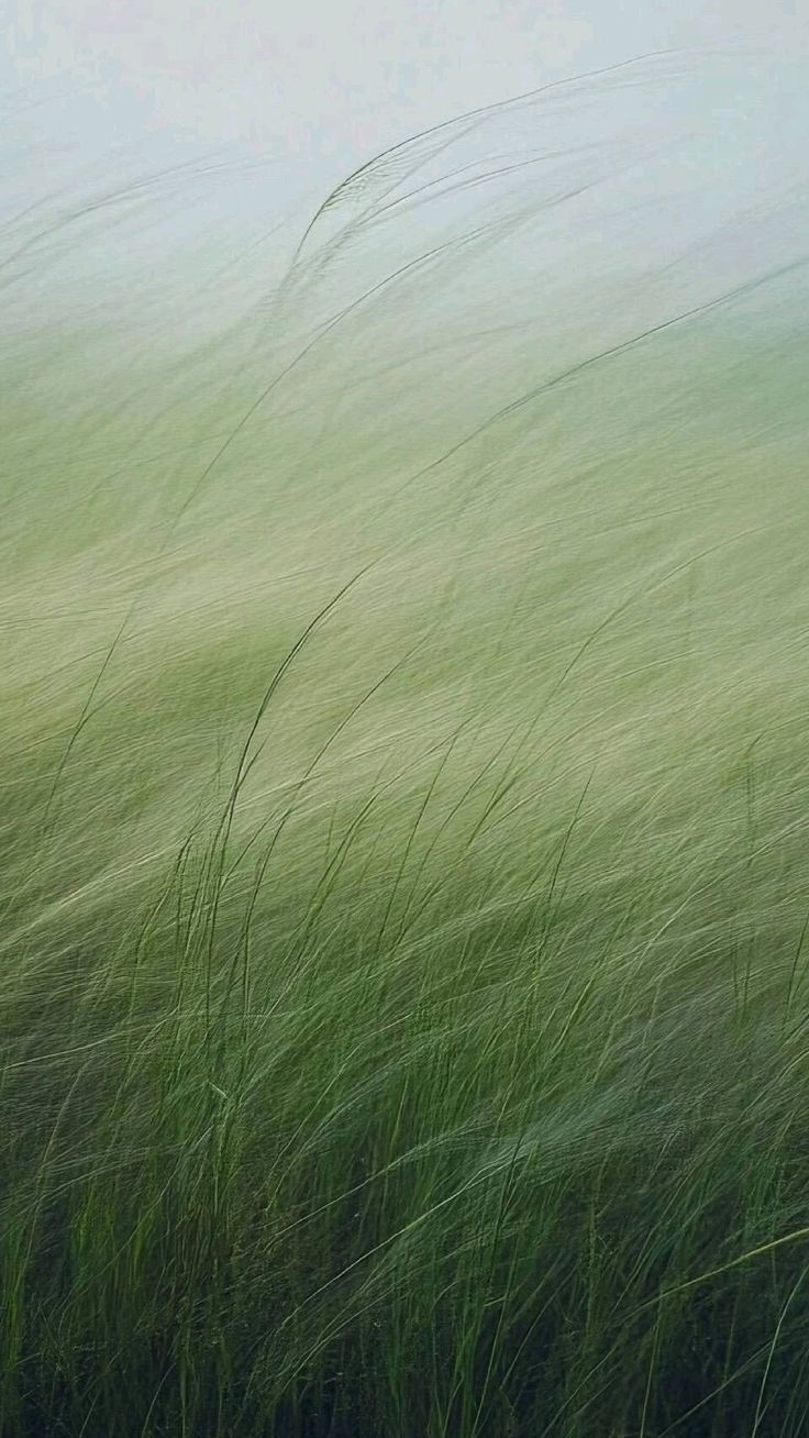 Earth & Echo Sound Journey Monochord Edition